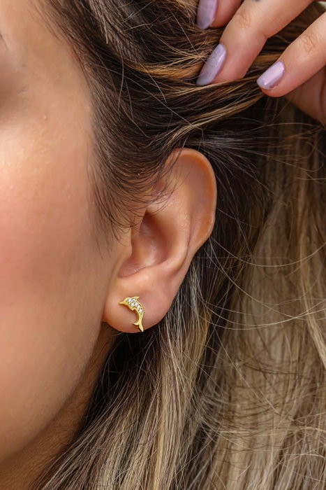Heliophilia Silver Pendientes de Plata de Ley 925 con Baño de Oro y Circón